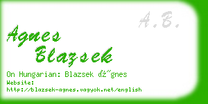 agnes blazsek business card